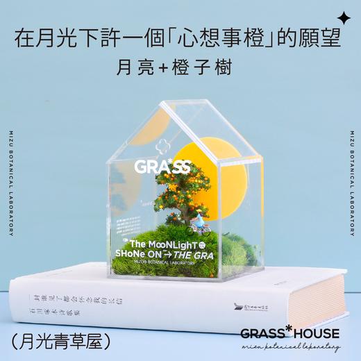 花治新品-月光青草屋 商品图4