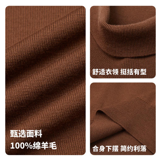 【门店同款&100%绵羊毛】圣得西2025年冬季高领毛衫青年男款毛衣 商品图4