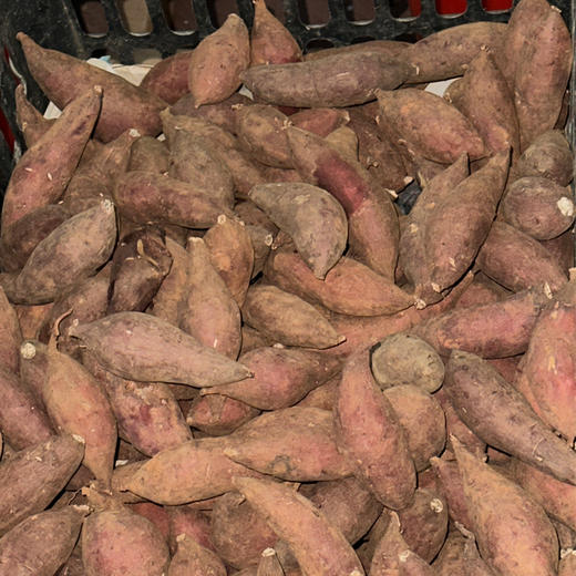 榴莲蜜薯（红薯）个头小，甜度高 | 云南 商品图1
