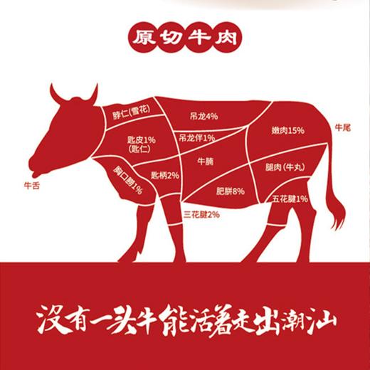 【GJ链接请勿用!!!】【潮汕牛肉火锅20件套】鲜肉现切，急速锁鲜，移动火锅在家轻松涮 商品图12
