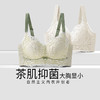 D2-【B-E杯】【大胸显小】润微薄款无钢圈防下垂收副乳文胸胸罩   薄荷小姐【大胸-蕾丝】 商品缩略图2