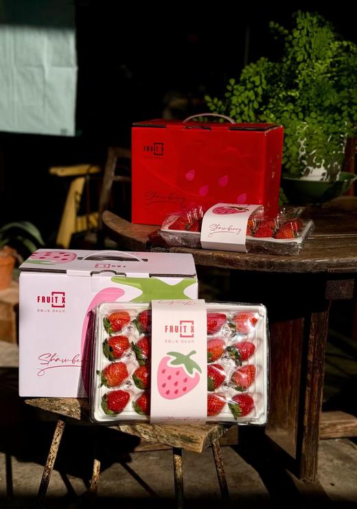 【觅趣小铺·凉山红颜九九草莓-空运】高海拔草莓，零农残承诺，又香又甜，口感十足~ 商品图3