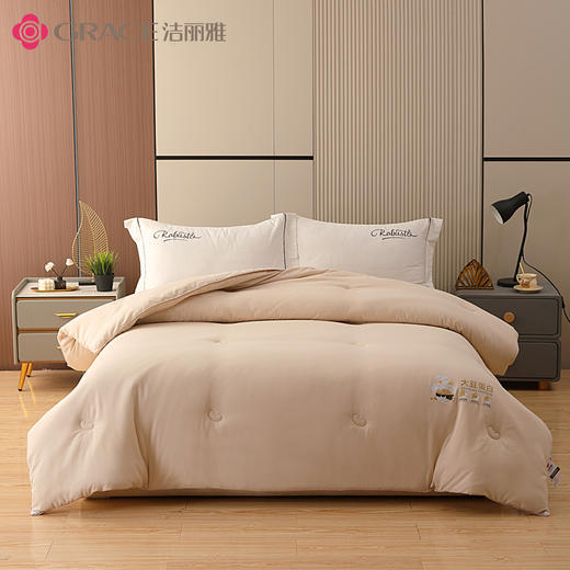 洁丽雅丨绵柔大豆被  JLY—YHQ998 商品图0