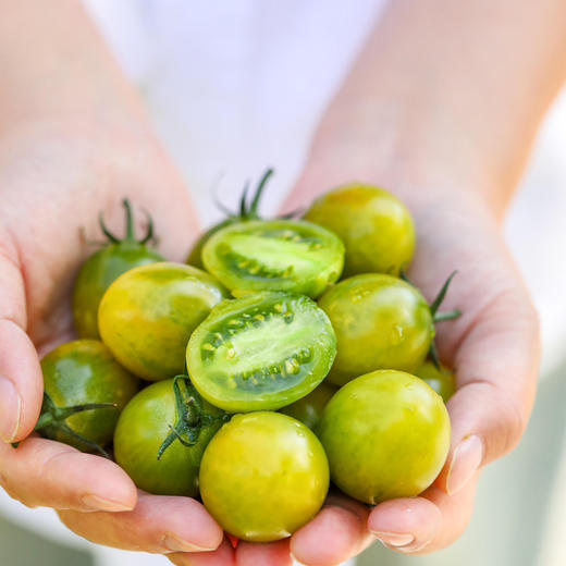 高原小青番，脆甜多汁，净重约2.8-3斤65-95颗，发顺丰陆运 商品图0