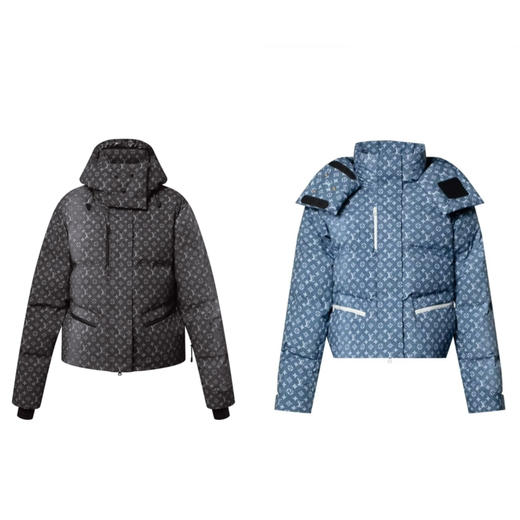 L-C SKI 老花滑雪羽绒服 商品图0