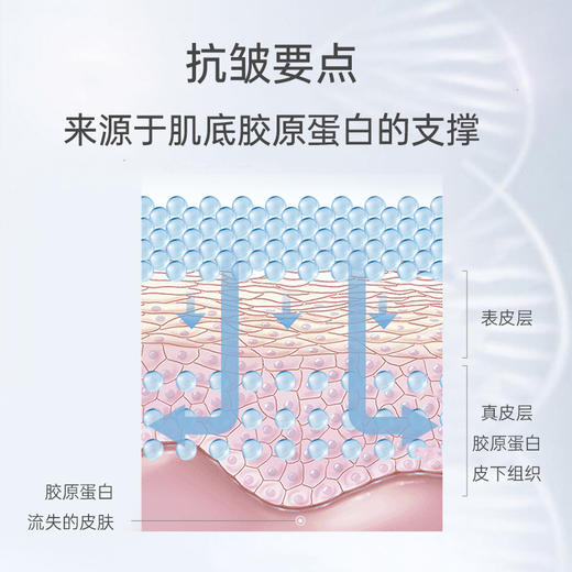 燕窝酸多效抗皱精华液50ml 商品图3