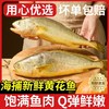 百年传承非遗工坊济湘源养马岛海鲜水饺 商品缩略图4