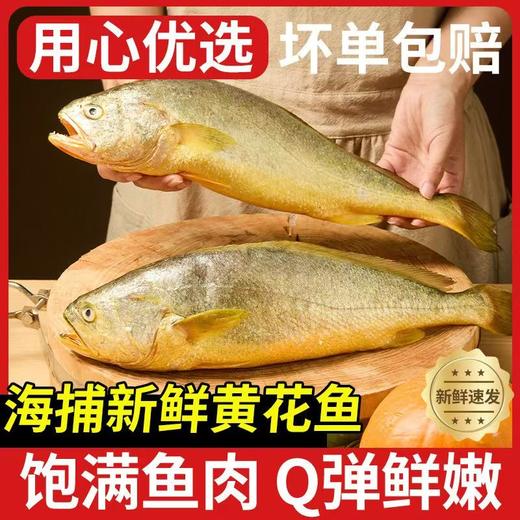 百年传承非遗工坊济湘源养马岛海鲜水饺 商品图4