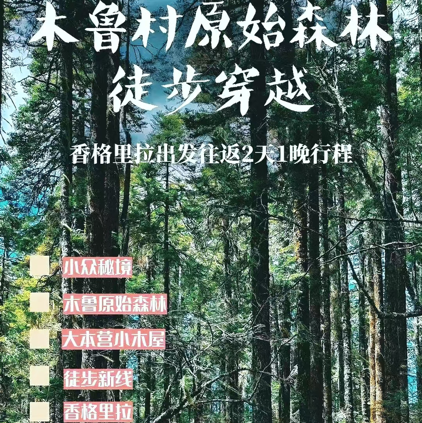 云南 | 香格里拉木鲁村2天1晚，原始森林徒步穿越，露营松茸小木屋自然资源丰富，生态环境良好。是世间难觅的原生态藏族村落！五一端午路线提前预定！