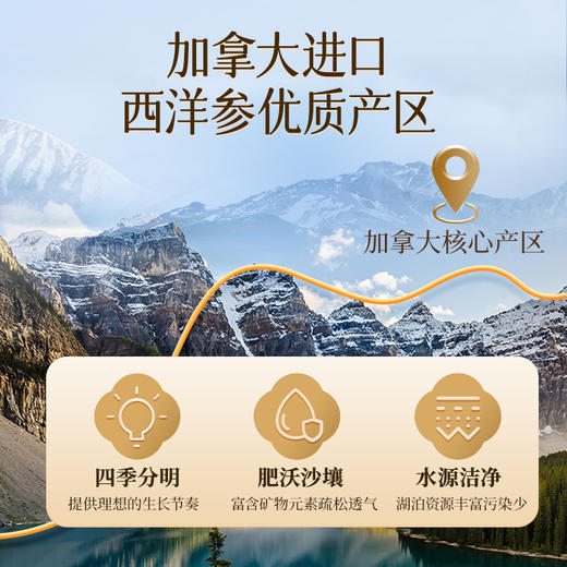 雷允上加拿大西洋参排片100g/盒（2-3cm) 商品图4