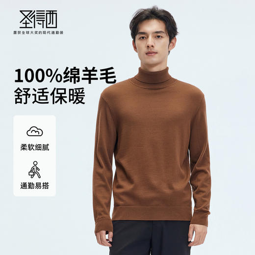【门店同款&100%绵羊毛】圣得西2025年冬季高领毛衫青年男款毛衣 商品图0