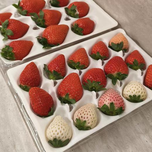 【南谷里·多色草莓 】隋珠、水蜜桃、真红美玲 三种草莓随机搭配    草莓爱好者必入香味浓郁甜度高风味足 商品图4