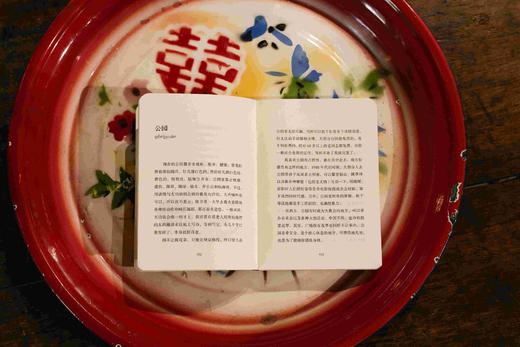 气呼呼的小词典  [意]老安/著  卢悦/绘 北贝  单读，小波，摄影，新现实主义，意大利，世界公民，文学，移民，资本主义，广西师范大学出版社 商品图7