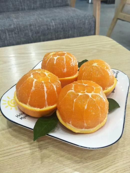 湖北助农巴东纽荷尔脐橙 树上熟甜度高 来自红土地的美味 商品图4