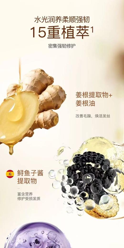 纯元！ 沙发枯发党终于挖到宝啦 Z品法泊迷鱼子酱+生姜发膜 商品图12