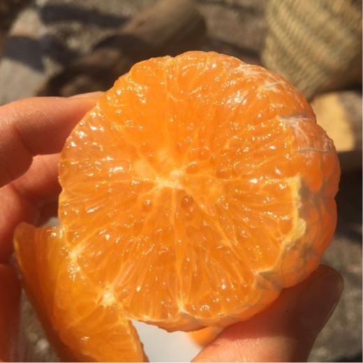 云南大理有机沃柑（连续9年有机认证） 商品图8