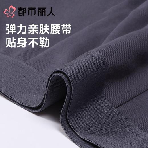 都市丽人内裤红品男士内裤40S棉拉架内裤棉平角内裤明筋FKCG0801 商品图5