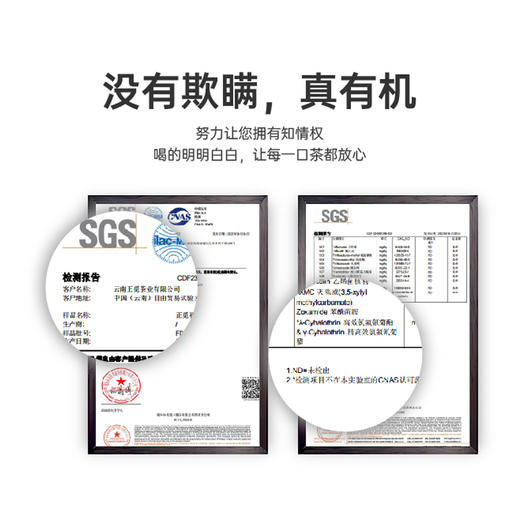 有机白茶  5g*12/盒 商品图4
