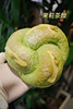 现烤面包—茉莉茶研 商品缩略图1
