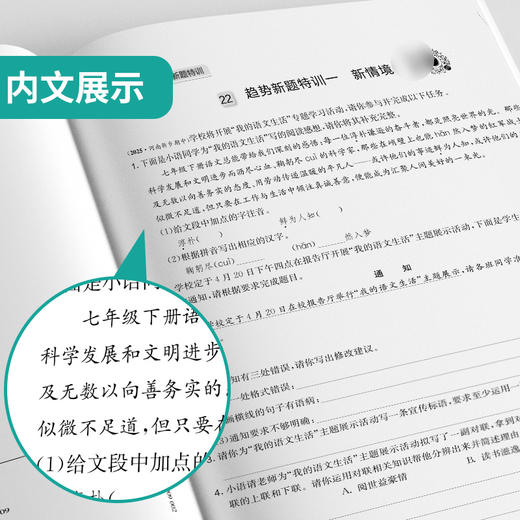 2026春 【人教版】 实验班提优大考卷 七年级语文(下) 商品图4