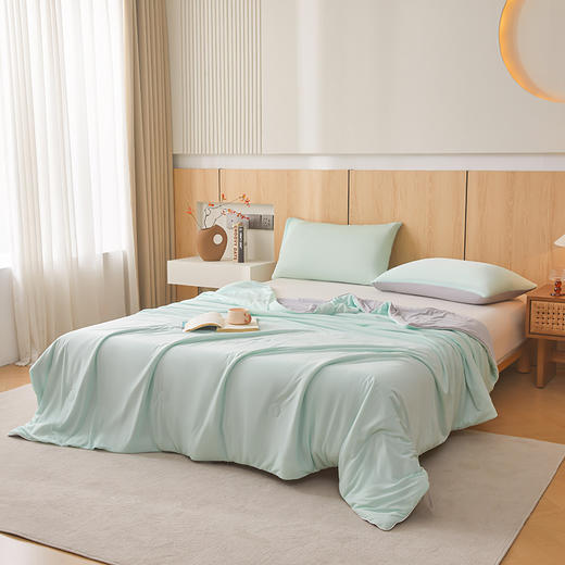 "因为+所以 / Because & So   云母绿+山灰-云母氨纶凉感丝夏凉被" 商品图1