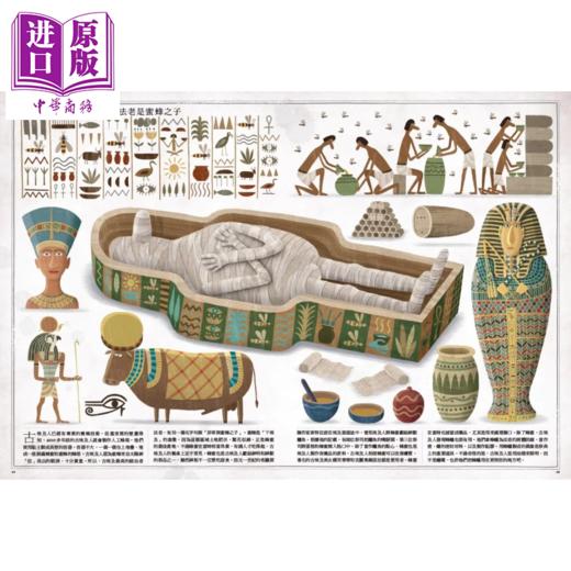 【中商原版】蜜蜂	沃依切 葛莱果斯基	小天地出版	港台原版 商品图2