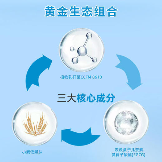 安福无忧EGCG 益生菌固体饮料 商品图2
