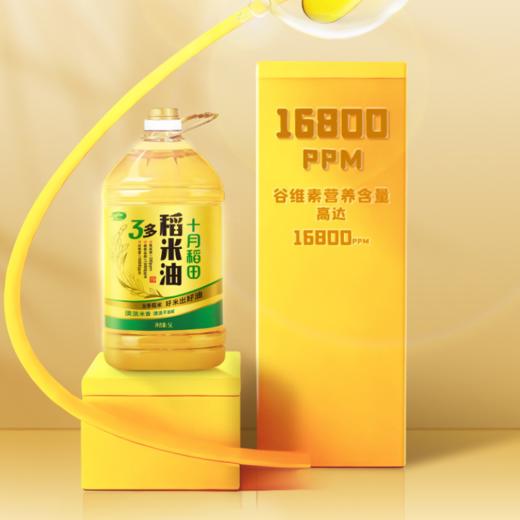 十月稻田 稻米油5L 商品图2