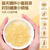 精力沛小麦胚芽高纤维高蛋白低GI618g（独立包装20袋） 商品缩略图4