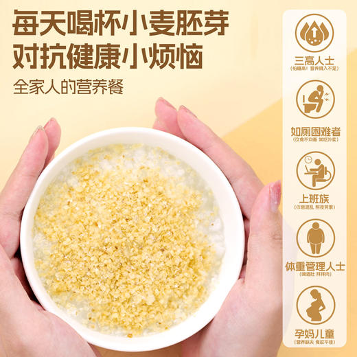 精力沛小麦胚芽高纤维高蛋白低GI618g（独立包装20袋） 商品图4