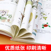 漫画黄帝内经 时令养生 商品缩略图3