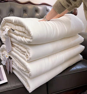 福利款！高端100s铂金木本蚕丝大豆冬被 35%蚕丝+20%大豆纤维+45%进口超细抗菌纤维 柔软温暖抑菌防螨
