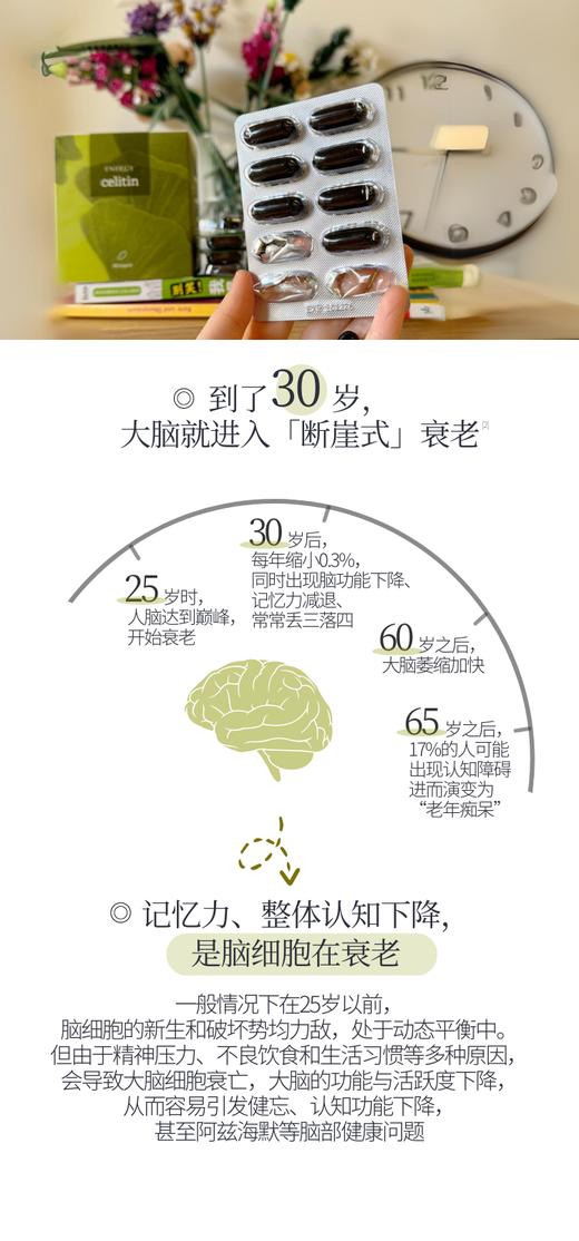 养脑/提高记忆力！捷克ENERGY安能聚银杏胶囊90粒 补脑/ 预防痴dai/ 改善建忘和认知功能！3岁以上全家适用~日期27年11月 商品图5