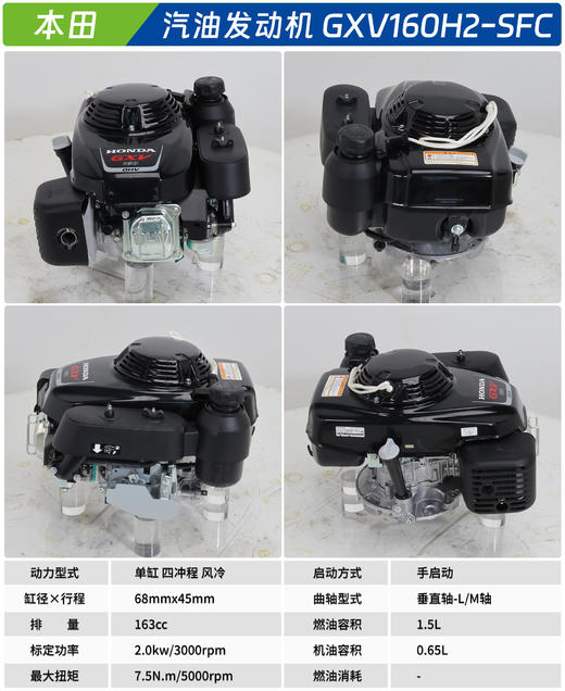 本田 GXV160H2-SFC 商品图1
