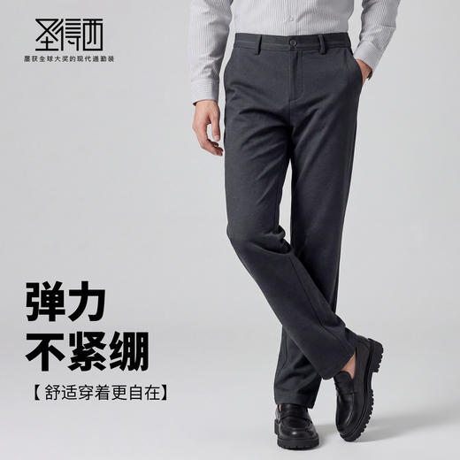 【含绵羊毛】圣得西2025年男款冬季休闲裤职场时尚百搭舒适直筒裤 商品图2