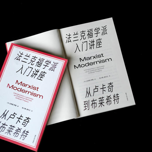 法兰克福学派入门讲座：从卢卡奇到布莱希特 商品图4