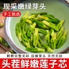 正宗头茬莲子芯200g 嫩绿芽头 茶色鲜亮 清新甘润 商品缩略图0
