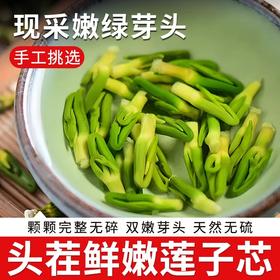 正宗头茬莲子芯200g 嫩绿芽头 茶色鲜亮 清新甘润