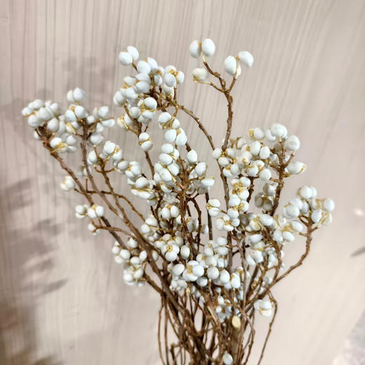 白果（乌桕果） 商品图1