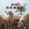 盐池放养滩羊肉｜以草本为食，肉质细腻 商品缩略图0