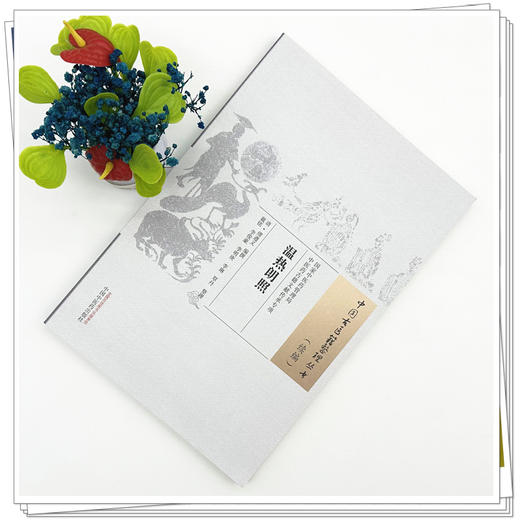 温热朗照 中国古医籍整理丛书 续编 清 缪遵义 编撰 全书辑各家温热学说和医案之精华 临床医学 9787513295475中国中医药出版社 商品图2