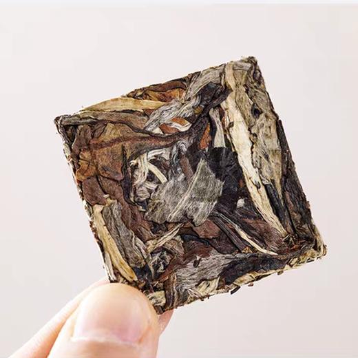 有机白茶   5g*20片 商品图1