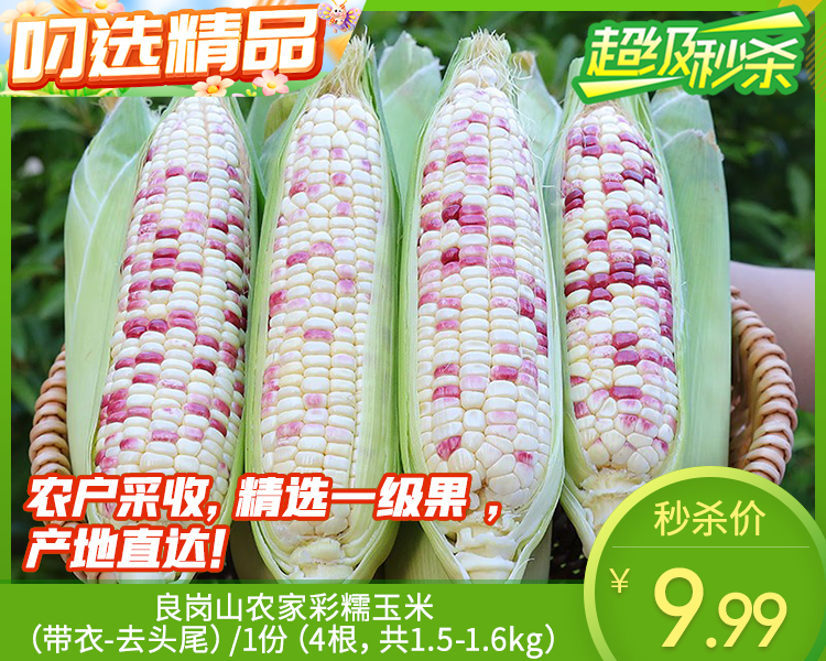 【预售-12月29日配送】良岗山农家彩糯玉米（带衣-去头尾）/1份（4根，共1.5-1.6kg）