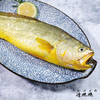 象山大黄鱼 商品缩略图1