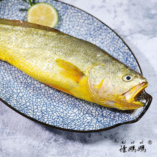 象山大黄鱼 商品图1