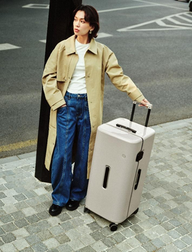 PISTACHIO  STRIPED TRUNK  旅行箱