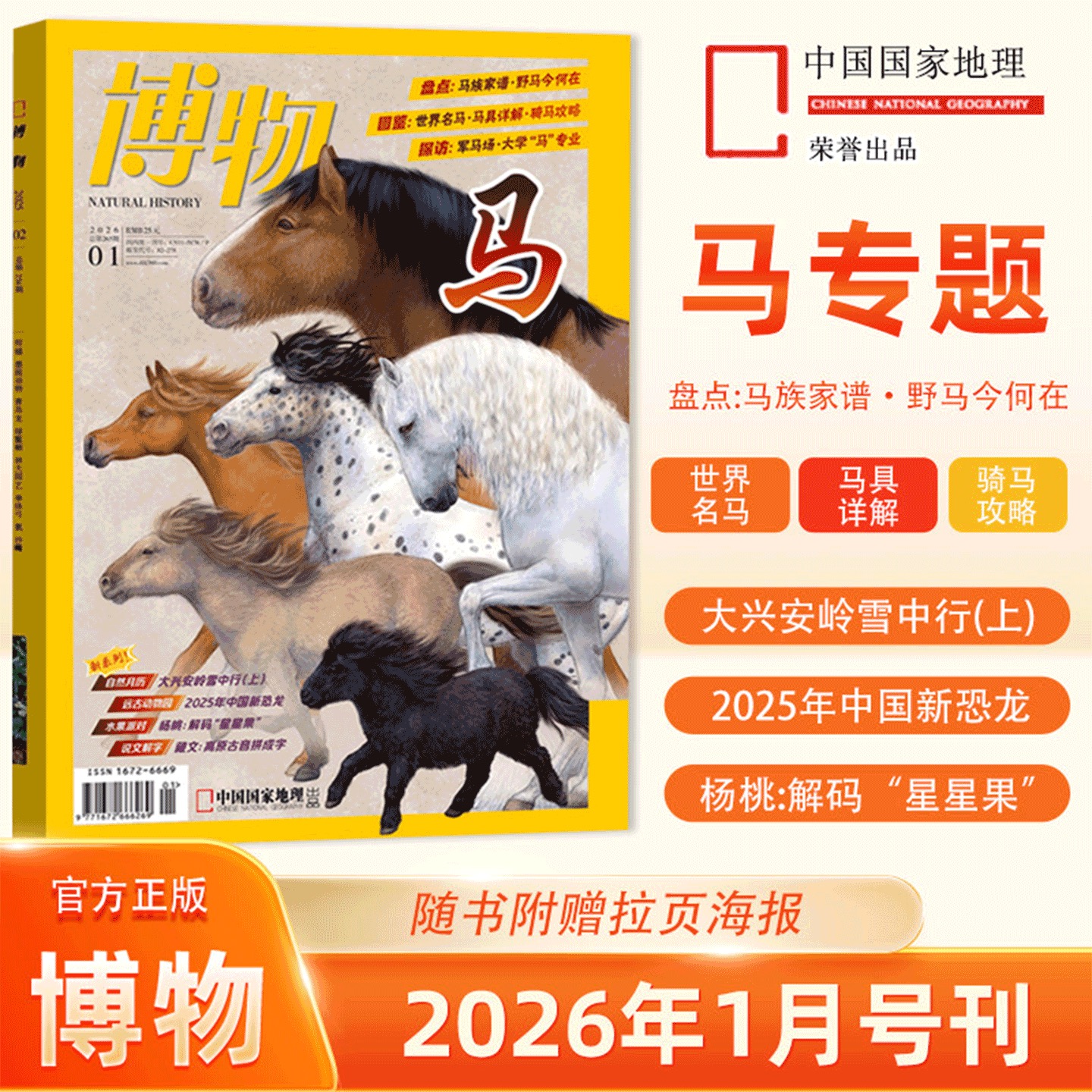 《博物》 自然人文综合知识类杂志 已更新至2026年一月刊（第1期）马 《中国国家地理》青春版 科普百科