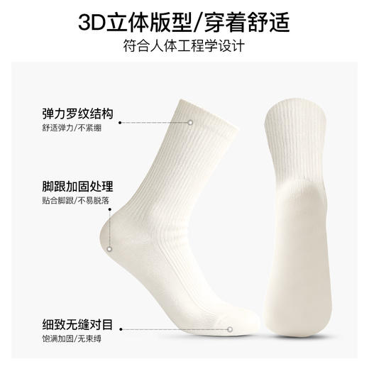 Corgi秋冬三部曲（三双装）CRSGL09 商品图1