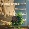 八马茶业｜五福临门全明星茶礼组合装175.75g 商品缩略图1