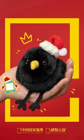 请选择你的圣诞小鸟🎄